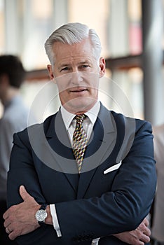 Portrait of handsome senior business man at modern office