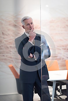 Portrait of handsome senior business man at modern office