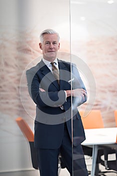 Portrait of handsome senior business man at modern office