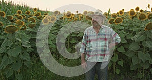 Portrait of handsome senior farmer in hat smiling at camera in sunflower field