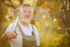 Portrait of a handsome senior man gardening in his garden,