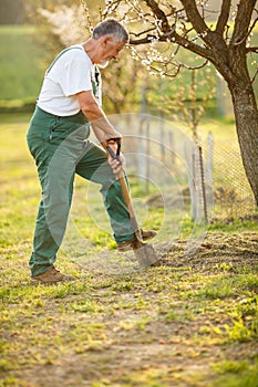 Portrait of a handsome senior man gardening in his garden