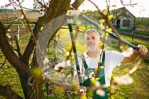 Portrait of a handsome senior man gardening in his garden