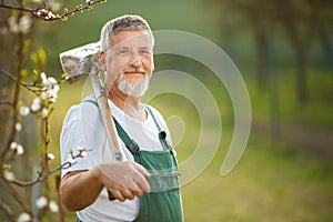 Portrait of a handsome senior man gardening in his garden