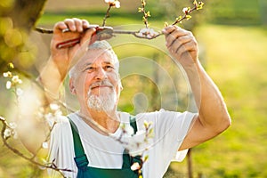 Portrait of a handsome senior man gardening in his garden