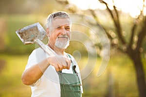 Portrait of a handsome senior man gardening in his garden