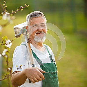 Portrait of a handsome senior man gardening in his garden