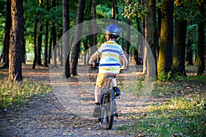 Portrait of happy active teenage boy in safety helmet relaxing after school riding his bike in beautiful park on sunny autumn day