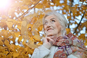 Portrait of a happy beautifil elderly woman posing