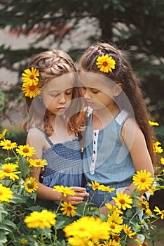 Portrait of happy beautiful girls in flowerbed