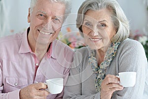 Portrait of happy beautiful senior couple posing at home