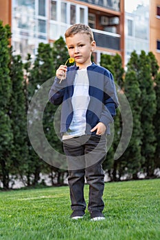 Portrait of happy boy. Child is smiling in spring day. Kid is enjoying spring. Sunny day. Boy holding dandelion. Outdoor