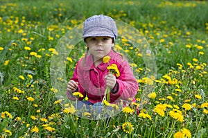 Portrait of happy caucasian child of four years old gathering yellow dandelions on meadow