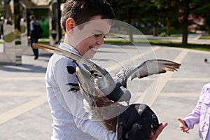 Portrait of a happy cheerful child boy, smiling, having fun feeding a flying flock of pigeons in a summer park