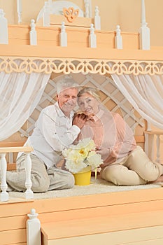 Portrait of happy cheerful senior couple at home