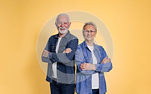 Portrait of happy and confident senior couple wearing denim shirts with arms crossed posing while standing isolated over yellow