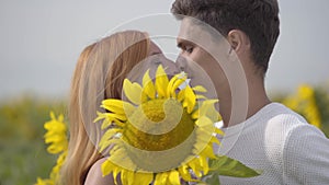 Portrait of happy couple kissing while covering their faces with the big sunflower on the sunflower field. The young