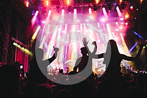 Portrait of happy crowd enjoying at music festival