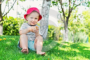 Portrait of happy Cute adorable toddler boy sitting on green grass and eating ripe juicy organic apple in fruit garden under trees