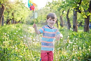 Portrait of a happy cute little boy holding pinwheel at the park