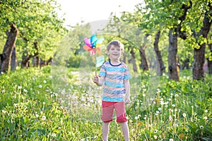 Portrait of a happy cute little boy holding pinwheel at the park