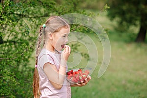 Portrait of Happy cute little girl is eating strawberries at summer day. Soft focused