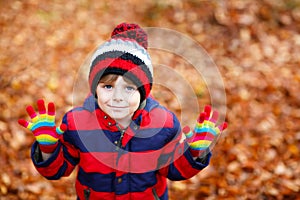 Portrait of happy cute little kid boy with autumn leaves background in colorful clothing. Funny child having fun in fall