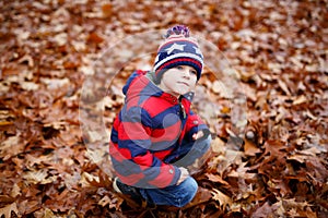 Portrait of happy cute little kid boy with autumn leaves background in colorful clothing. Funny child having fun in fall