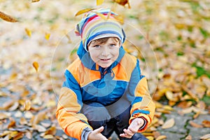 Happy cute little kid boy with autumn leaves playing in garden