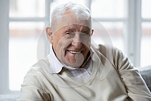 Portrait of happy elderly 80s retired man relaxing on couch.