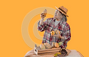 Portrait of happy farmer senior man standing holding and looking at fresh cacao fruit with isolated on yellow background