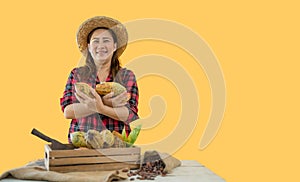 Portrait of happy farmer woman standing holding fresh cacao fruit and looking at camera with isolated on yellow background