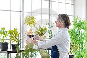 Portrait of happy gardener senior man wearing glasses holding small tree in plant pot as a hobby of home gardening at home