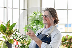 Portrait of happy gardener senior man wearing glasses taking care of small tree in plant pot as a hobby of home gardening at home