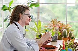 Portrait of happy gardener senior man wearing glasses taking care of small tree in plant pot as a hobby of home gardening at home