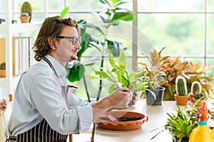 Portrait of happy gardener senior man wearing glasses taking care of small tree in plant pot as a hobby of home gardening at home