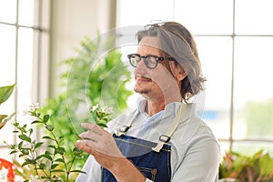 Portrait of happy gardener senior man wearing glasses taking care of small tree in plant pot as a hobby of home gardening at home