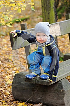 Portrait of a happy little boy sitting on a bench