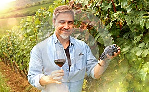 Portrait of happy man in vineyard with glass of wine