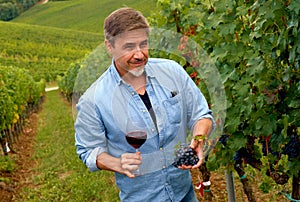 Portrait of happy man in vineyard with glass of wine