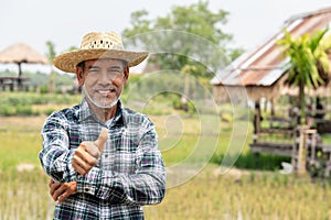 Portrait happy mature older man is smiling. Old senior farmer with white beard thumb up feeling confident.