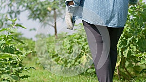 Portrait of a happy old age woman and retirement walking in gardening and growing plants in a garden center near the city. Outdoor