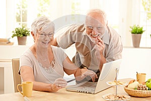 Portrait of happy old couple shopping online