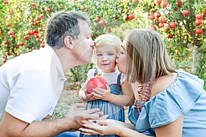 Portrait of happy parents kissing their baby girl daughter holding pomegranate fruit in sunset garden. Harvest, Family vacation an