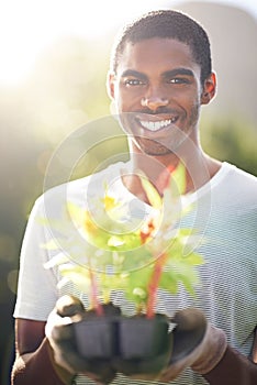 Portrait, happy and planting flowers with black man in garden of home for summer landscaping. Face, nature and smile