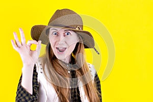 The portrait of a happy redhead makes a gesture with her hands, shows OK with a surprised expression, expresses an