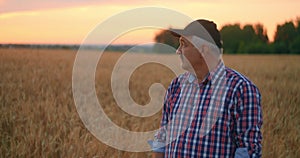 Portrait of a happy Senior adult farmer in a cap in a field of grain looking at the sunset. Wheat field of cereals at