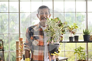 Portrait of happy senior asian retired man holding a plant in garden at home