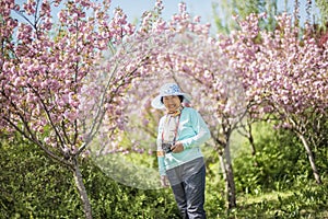 Portrait of happy senior beautiful woman in spring park