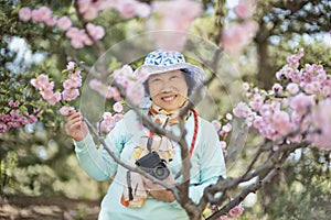 Portrait of happy senior beautiful woman in spring park